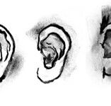 DAB LAB Research Gallery - Maitland Accommodation