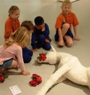  Maitland Accommodation