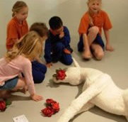 Hawkesbury Regional Gallery - Maitland Accommodation