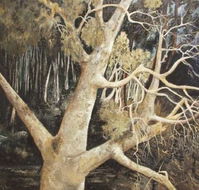 Ku-Ring-Gai Art Centre  Gallery - Maitland Accommodation