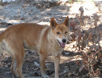  Maitland Accommodation