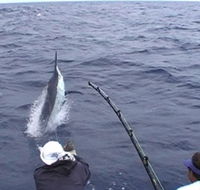 Amokura Charters - Maitland Accommodation