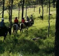Hunter Valley Horse Riding and Adventures - Maitland Accommodation