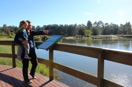 Hunter Wetlands Centre Australia - Maitland Accommodation 0