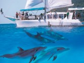 Imagine Cruises - Maitland Accommodation 2