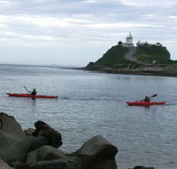 Newcastle Kayak Tours - Maitland Accommodation