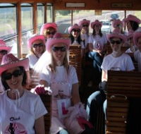 Newcastles Famous Tram - Maitland Accommodation