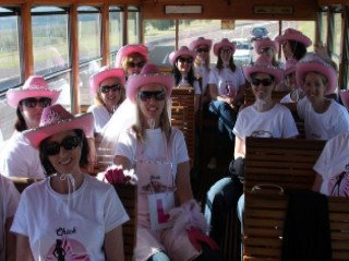 Newcastles Famous Tram - Maitland Accommodation 0