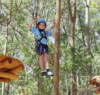 TreeTops Newcastle - Maitland Accommodation