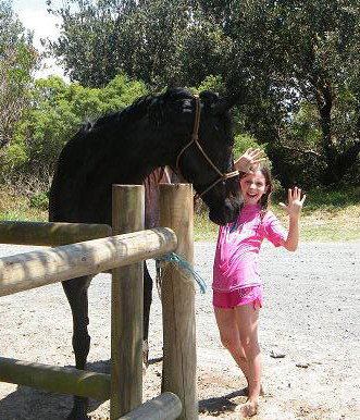 Pegasus Park Equestrian Centre - Maitland Accommodation 3