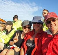 Byron Bay Whale Watching - Maitland Accommodation