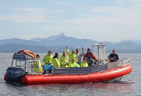 Byron Bay Whale Watching - Maitland Accommodation 2
