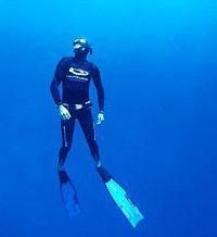 Byron Bay Dive Centre - Maitland Accommodation 1