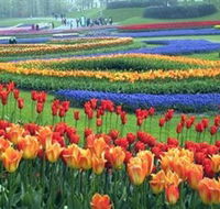 Botanica World Discoveries - Maitland Accommodation