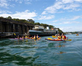 Natural Wanders - Maitland Accommodation 5