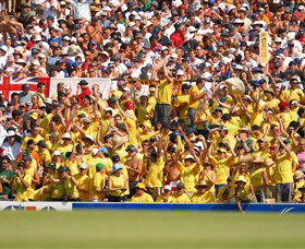 Sydney Cricket Ground And Allianz Stadium - Maitland Accommodation 3