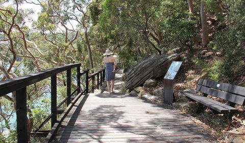 Bradleys Head To Chowder Bay Walk - Maitland Accommodation 1