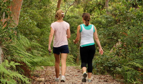 Bradleys Head To Chowder Bay Walk - Maitland Accommodation 0