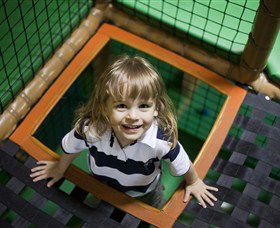 Monkey Mania EQ - Maitland Accommodation 1