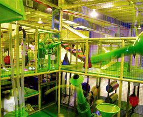 Monkey Mania EQ - Maitland Accommodation 2