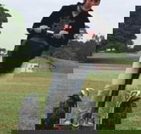 Segway Tours Australia - Maitland Accommodation