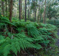 Dalrymple-Hay Nature Reserve - Maitland Accommodation