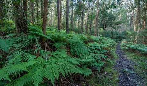Dalrymple-Hay Nature Reserve - Maitland Accommodation 0