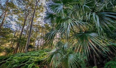 Dalrymple-Hay Nature Reserve - Maitland Accommodation 2