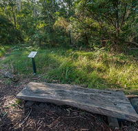 Browns Forest loop trail - Maitland Accommodation
