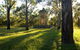 Parramatta Park - thumb 0