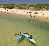 Narrabeen Beach - Maitland Accommodation