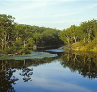 Lake Parramatta Reserve - Maitland Accommodation