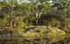 Lake Parramatta Reserve - thumb 1