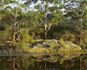 Lake Parramatta Reserve - Maitland Accommodation 1