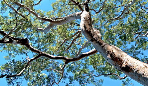Georges River National Park - Maitland Accommodation 3