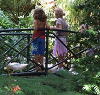 EG Waterhouse National Camellia Garden - Maitland Accommodation