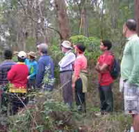 Boronia Tours - Maitland Accommodation