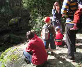 Boronia Tours - Maitland Accommodation 2