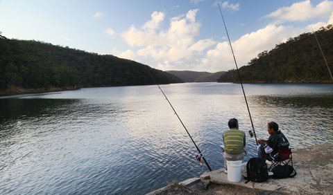 D'Albora Marinas At Akuna Bay - Maitland Accommodation 3