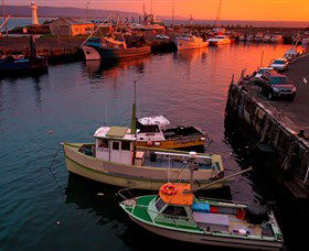 Australian Sightseeing And Photography Tours - Maitland Accommodation 2