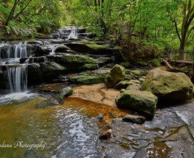 Australian Sightseeing And Photography Tours - Maitland Accommodation 1