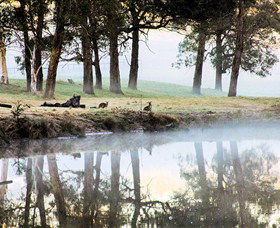 Australian Sightseeing And Photography Tours - Maitland Accommodation 4