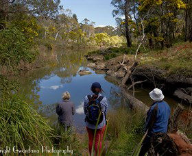 Australian Sightseeing And Photography Tours - Maitland Accommodation 5