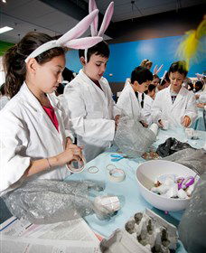 Australian Nuclear Science And Technology Organisation - Maitland Accommodation 1