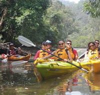Southern Cross Kayaking - Hawkesbury - Maitland Accommodation