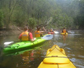 Southern Cross Kayaking - Hawkesbury - Maitland Accommodation 2