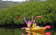 Southern Cross Kayaking - Hawkesbury - thumb 1