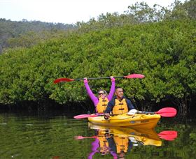 Southern Cross Kayaking - Hawkesbury - Maitland Accommodation 1