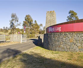 Lizard Log - Maitland Accommodation 0