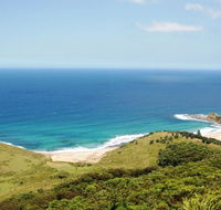 Royal National Park - Maitland Accommodation